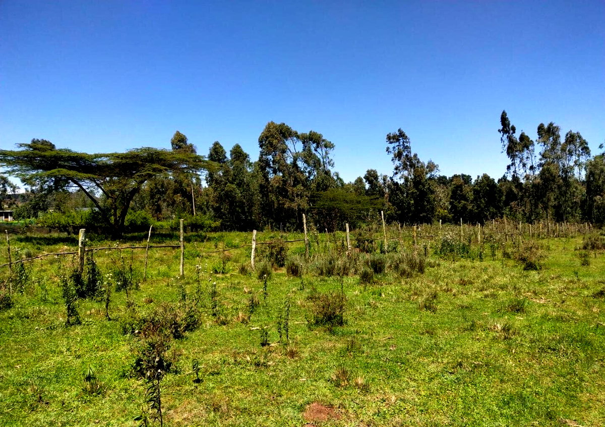 Half Acre Plot at KSh 30M