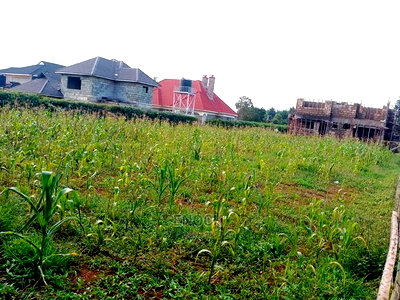 Prime 1/4acre in Mariot Estate, Eldoret - Image 4