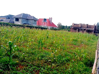 Prime 1/4acre in Mariot Estate, Eldoret - Image 3