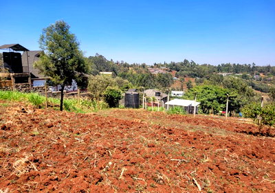 1/8 Acre Plot in Kibiku, Ngong