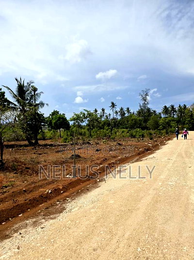 Kilifi Tezo Plots Walking Distance From Highway - Image 5