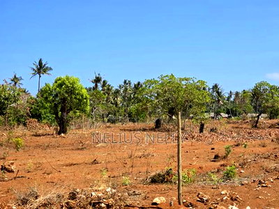 Kilifi Tezo Plots Walking Distance From Highway - Image 3