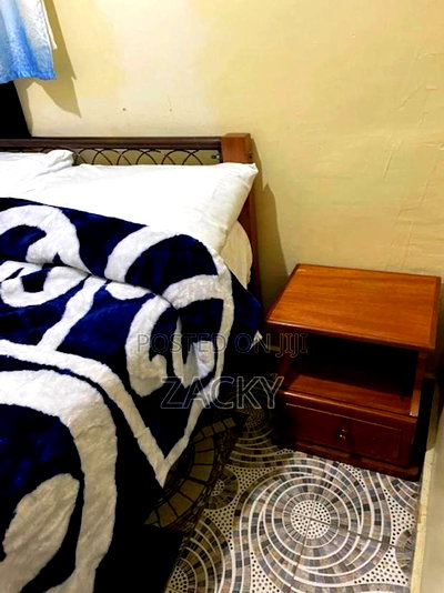 Furnished Mini Flat in Adams, Posta Stage, Jamhuri Estate for rent - Image 3