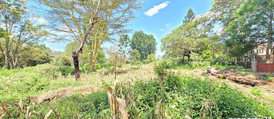 2-Acre Plot in Spring Valley