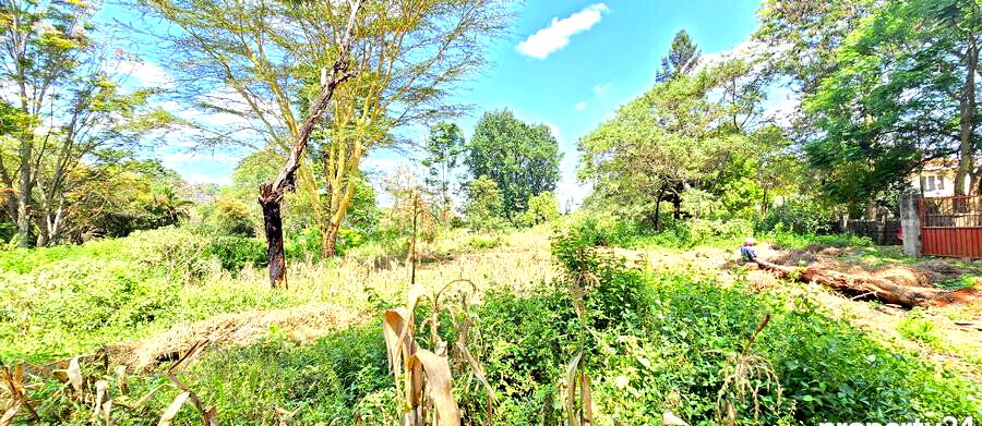 2-Acre Plot in Spring Valley