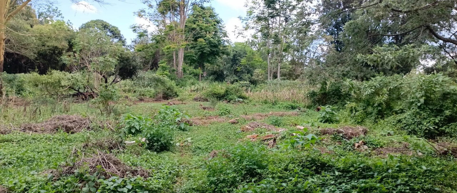 2-Acre Plot in Spring Valley