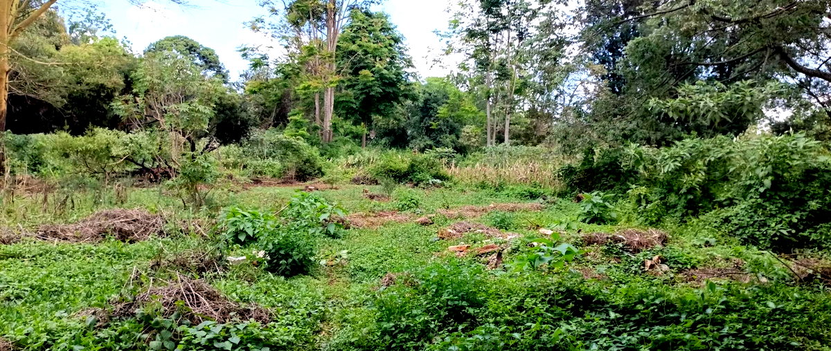 2-Acre Plot in Spring Valley