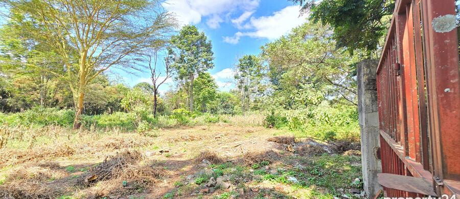 2-Acre Plot in Spring Valley