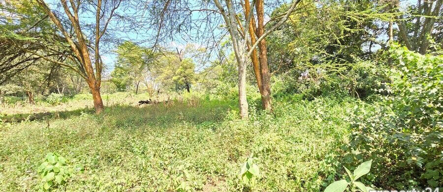 2-Acre Plot in Spring Valley
