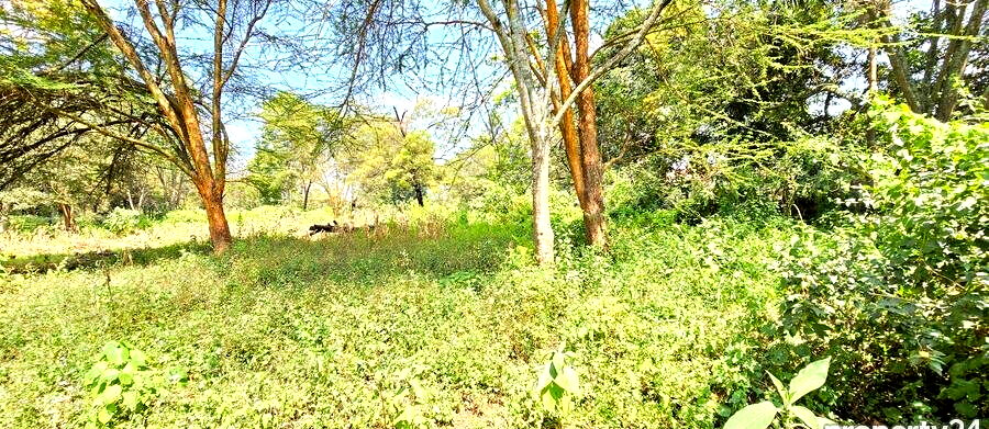 2-Acre Plot in Spring Valley