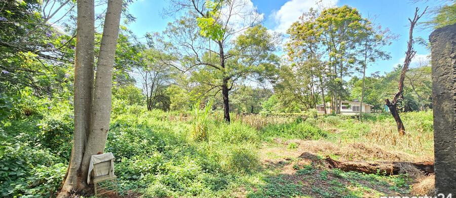 2-Acre Plot in Spring Valley