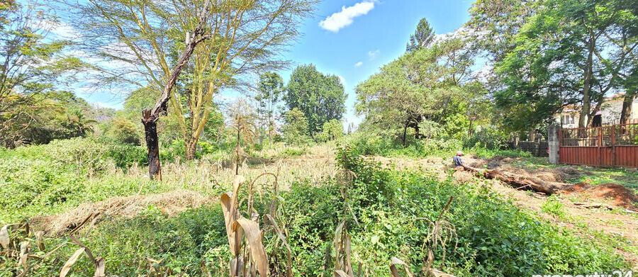 2-Acre Plot in Spring Valley