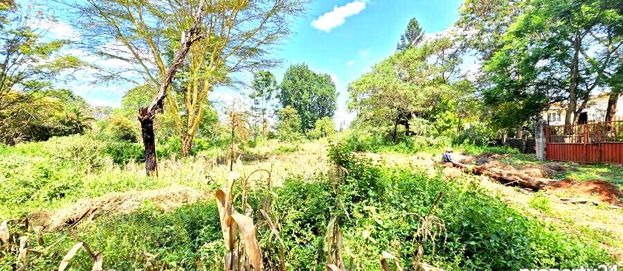 2-Acre Plot in Spring Valley