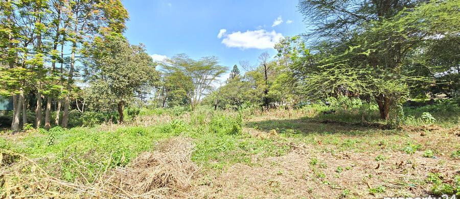 2-Acre Plot in Spring Valley