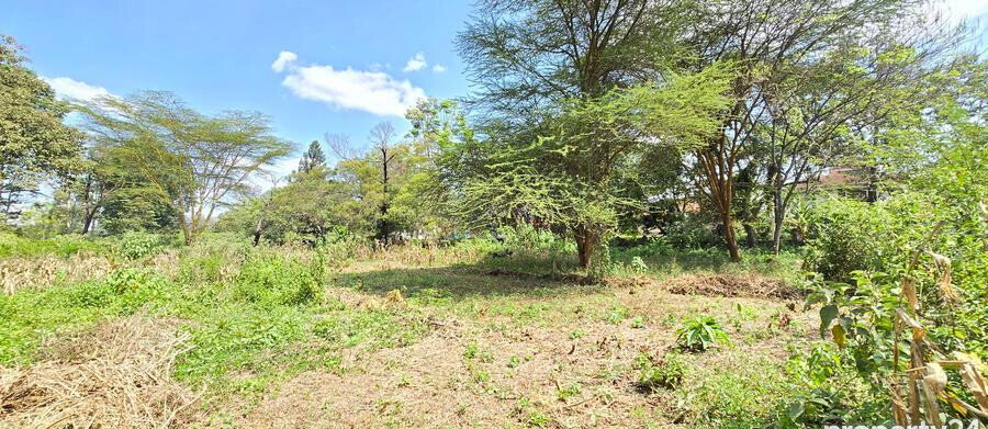 2-Acre Plot in Spring Valley