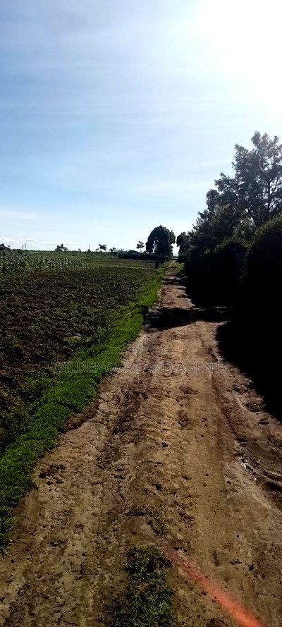 Land on Ihindu Naiva - Image 1