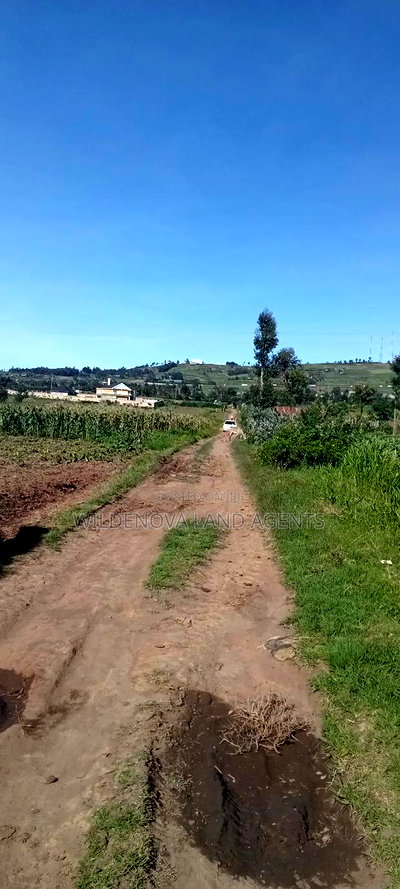 Land on Ihindu Naiva - Image 2