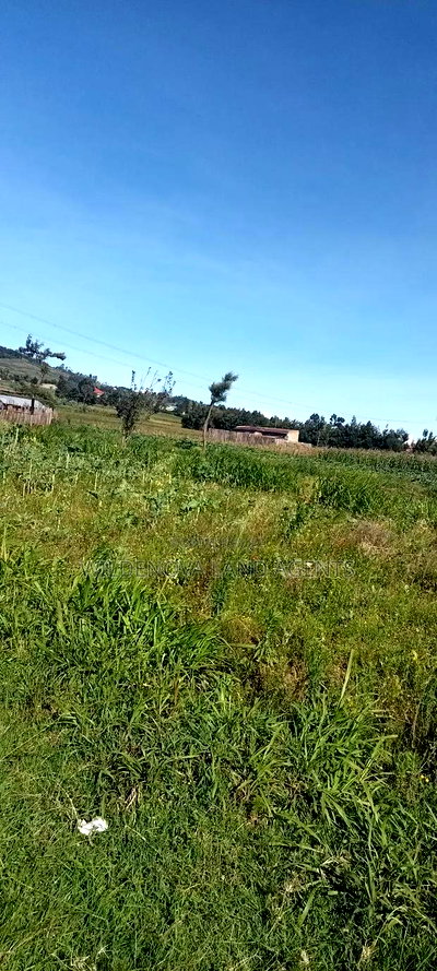 Land on Ihindu Naiva - Image 5