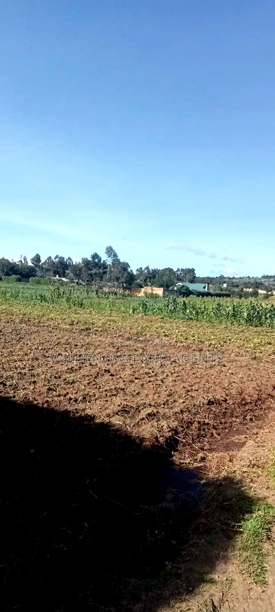 Land on Ihindu Naiva - Image 6