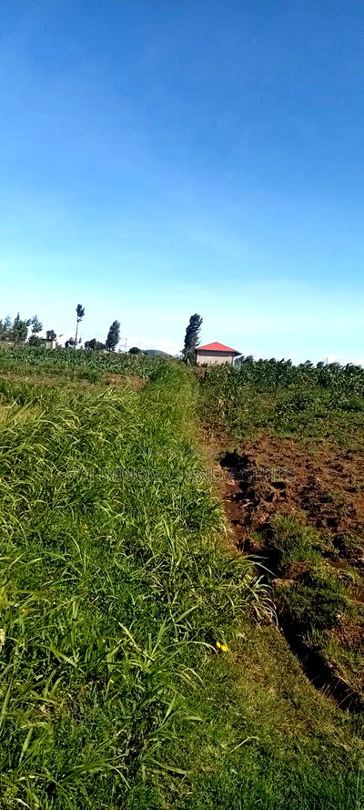 Land on Ihindu Naiva - Image 4