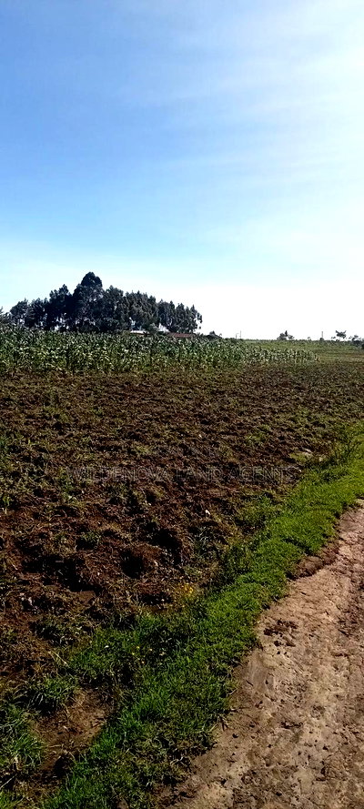 Land on Ihindu Naiva - Image 3