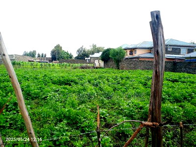 Plot for Sale - Image 4