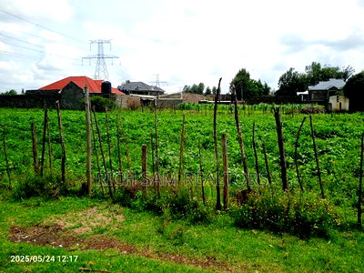 Plot for Sale - Image 8