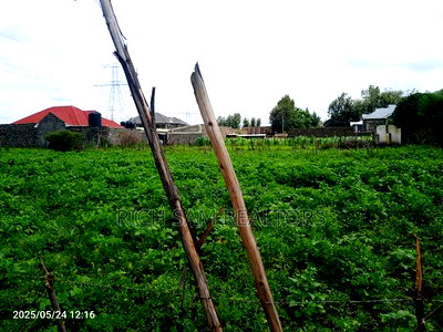 Plot for Sale - Image 3