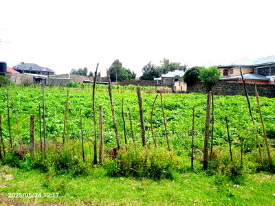 Plot for Sale - Image 6