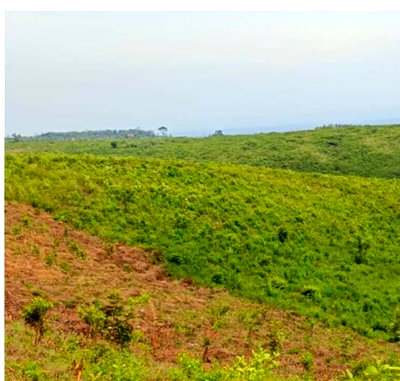 10-Acre Plot in Kisumu West