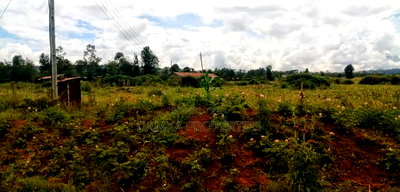 100 Acres for Sale in Sobea 2kms From Nakuru-Eldoret Higway - Image 4
