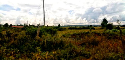 100 Acres for Sale in Sobea 2kms From Nakuru-Eldoret Higway - Image 2