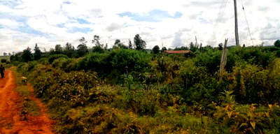 100 Acres for Sale in Sobea 2kms From Nakuru-Eldoret Higway - Image 5