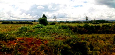 100 Acres for Sale in Sobea 2kms From Nakuru-Eldoret Higway - Image 3