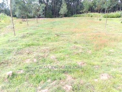 Prime Plots in Oljoro-Orok - Image 6