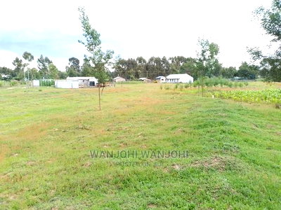 Prime Plots in Oljoro-Orok - Image 7