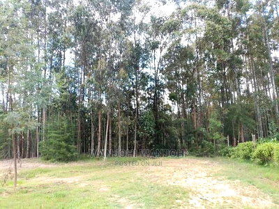 Prime Plots in Oljoro-Orok - Image 10