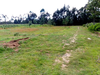 Prime Plots in Oljoro-Orok - Image 9