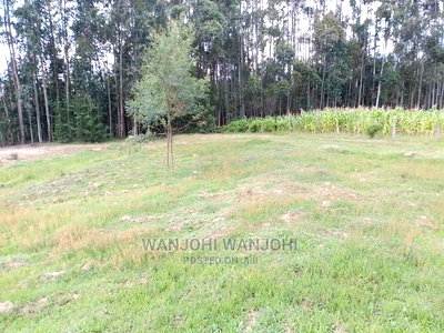 Prime Plots in Oljoro-Orok - Image 3