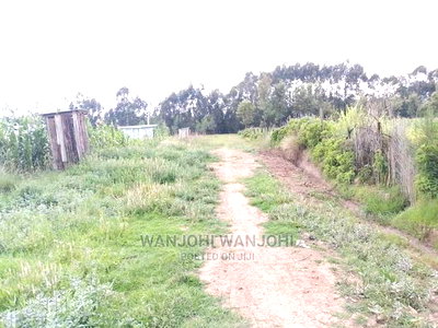 Prime Plots in Oljoro-Orok - Image 4