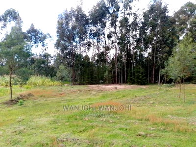 Prime Plots in Oljoro-Orok - Image 2