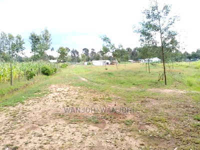Prime Plots in Oljoro-Orok - Image 5