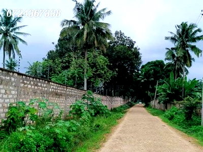 Kikambala Plots for Sale - Image 1