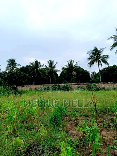 Kikambala Plots for Sale - Image 2