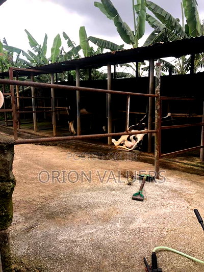 Prime Commercial Plot for Sale - Image 5