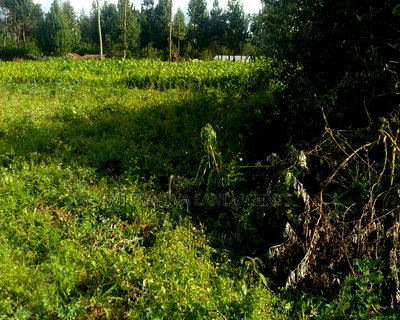 Plots On At Hato Kiambu Kinari - Image 1