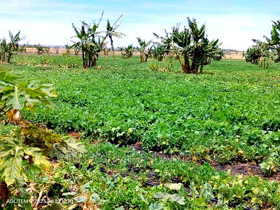 Isinya 50x100 Ready Title Plots At - Image 6