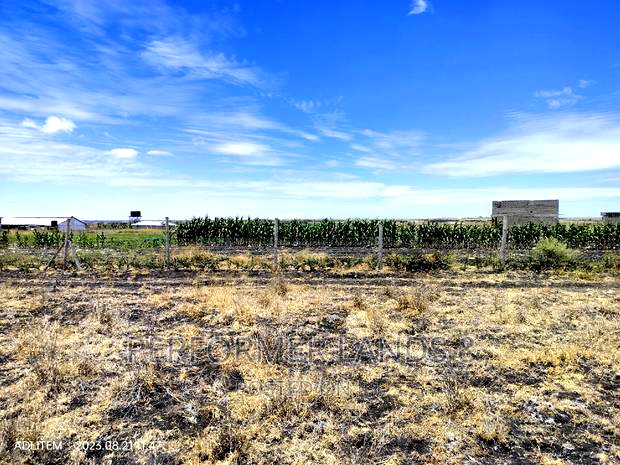 Isinya 50x100 Ready Title Plots At