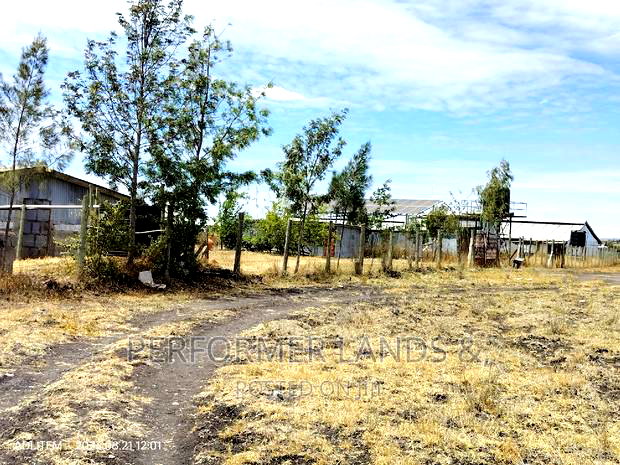 Isinya 50x100 Ready Title Plots At