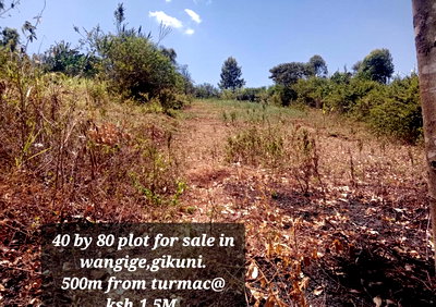 KSh 1.5M Garden Plot in Wangige